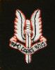 SAS Cloth Badge